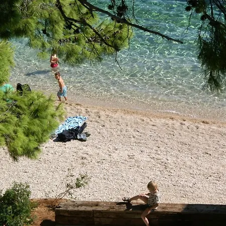 Pisak 16411a * 麦米科