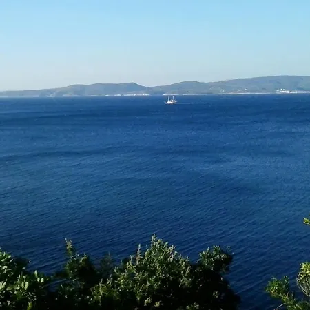 Pisak 16411a 麦米科